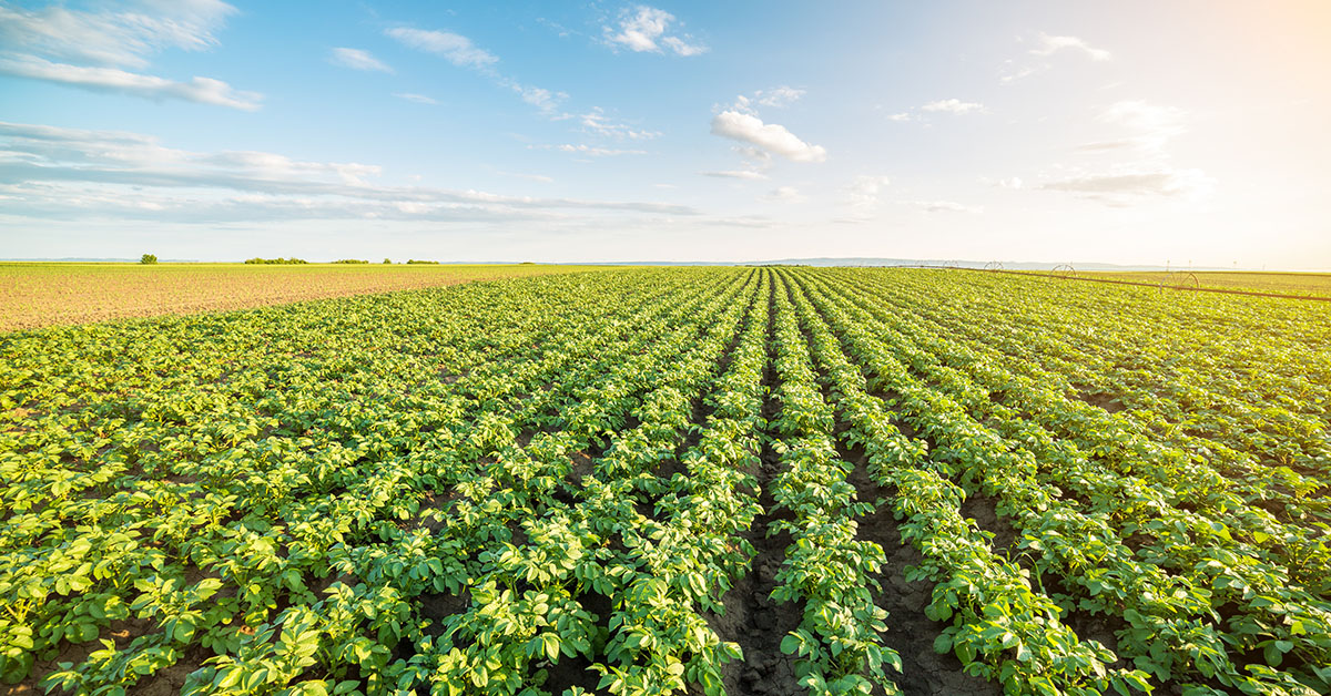 De eigenaar van het klimaatprobleem, de hete aardappel